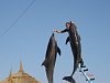 skákající delfíni