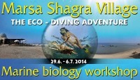 leták: ekosystémy korálových útesů v Marsa Shagra Village